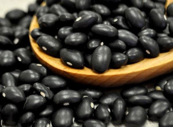 Bean Organic: Black Turtle - HG