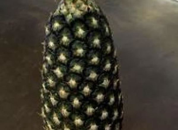 Pineapple - Organic ESP