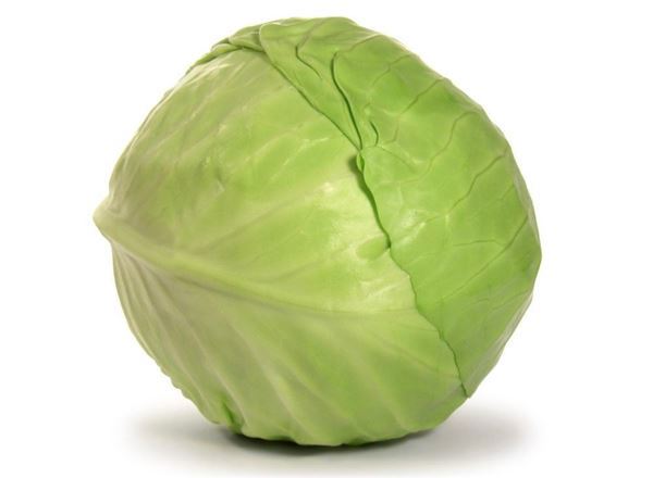 Cabbage White 1kg