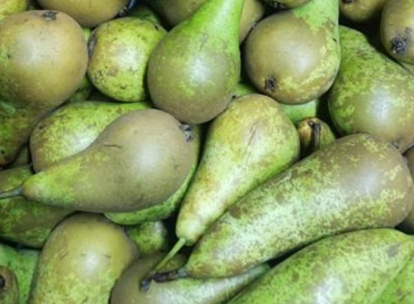 Pears - Organic AR