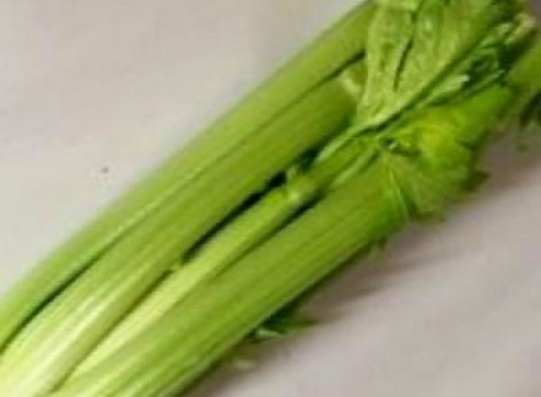 Celery - Organic UK