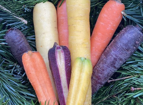 Carrots, Rainbow - approx 500g - Organic