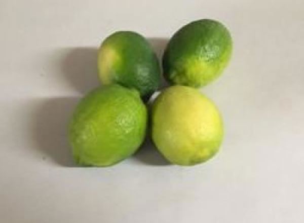 Limes - Organic BR