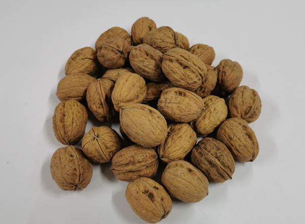 Nuts - Walnuts in Shells Organic