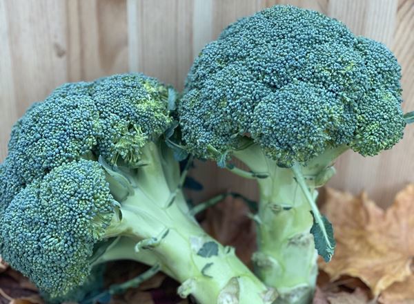 Broccoli Head - approx 350g - Organic