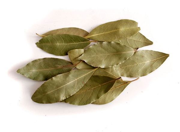 Bay Leaves - Local