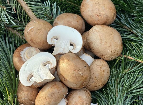Mushrooms, Chestnut - approx 250g - Organic