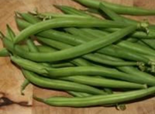 Beans - French Organic ESP