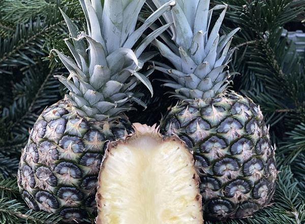 Pineapple - Individual