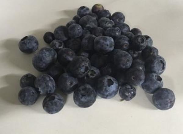 Blueberries - Organic PT