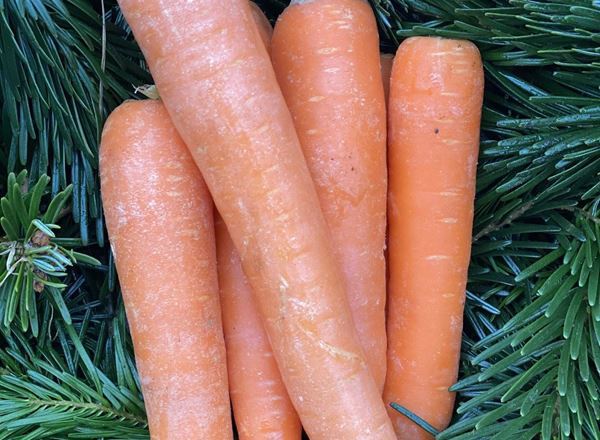 Carrots, washed - approx 250g - Organic