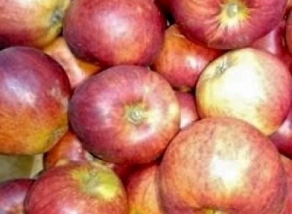 Apples - Eating Organic IT