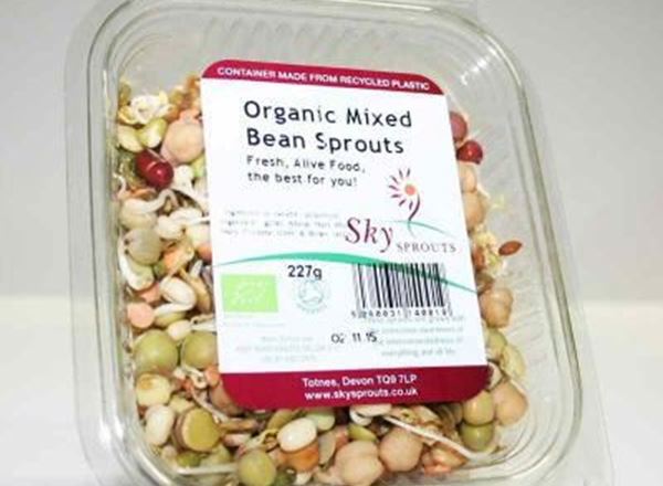 Sprouts - Mixed Seeds Organic UK