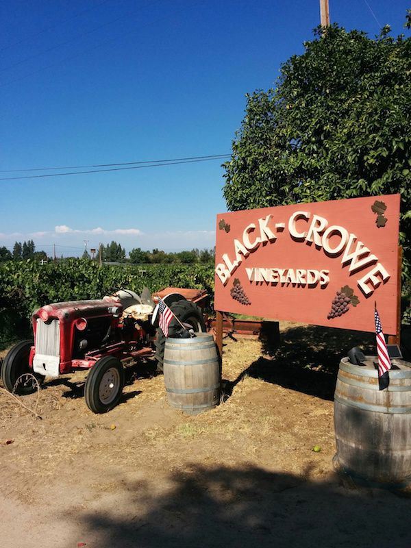 Black-Crowe Vineyards