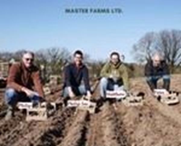 Master Farm