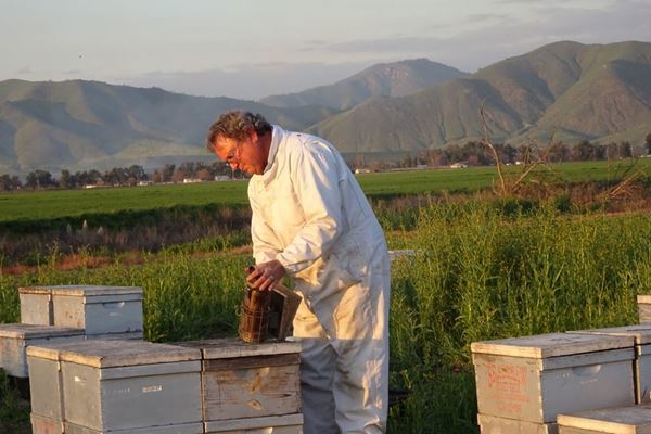 Bradshaw Honey Farms